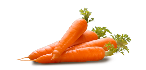 Carottes